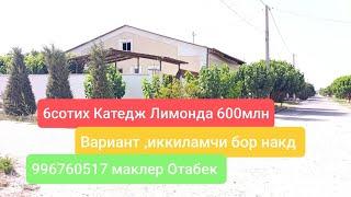 6сотих Катедж 600млн сум ВАРИАНТ БОР 996760517