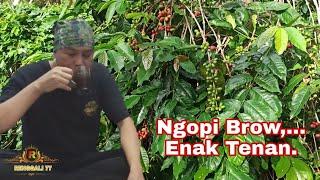 Cara pembuatan kopi,cara buat kopi dengan cita Rasa yang Berbeda.