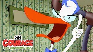 Paging Dr. Le Quack! 🩺 | Courage the Cowardly Dog | Cartoon Network