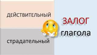 Русский язык. ЗАЛОГ ГЛАГОЛА: действительный и страдательный. Видеоурок