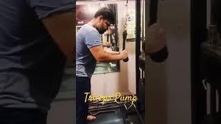 Shivam Singh | #tricepsworkout #fitnessworkout #bodybuilding #triceps #gymmotivation #shortsviral