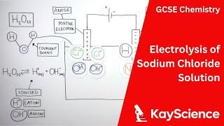 Electrolysis of Sodium Chloride Solution - GCSE Chemistry | kayscience.com