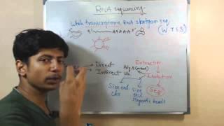 RNA sequencing