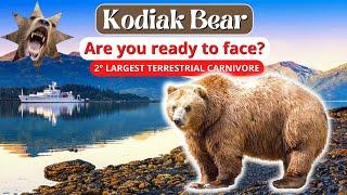 Kodiak Bear: The Second Largest Terrestrial Carnivore!  (Ursus Arctos Middendorffi)