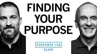 How to Find Your Purpose in Life | Dr. EJ Chichilnisky & Dr. Andrew Huberman