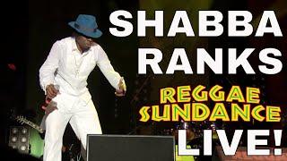 Shabba Ranks Live at Reggae Sundance 2016   Complete Show