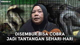 MENYAMBANGI KULINER EKSTREM MENCOBA SATE, DARAH, DAN EMPEDU COBRA | #VERSPEKTIF