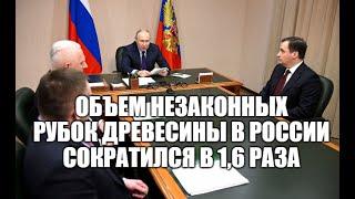 Президент России Владимир Путин провел совещание по вопросам развития лесной промышленности [ 2023 ]