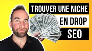 Comment Trouver une Niche SEO en Dropshipping ?