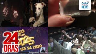 24 Oras: (Part 3) Pawagan ng animal lovers: Wag ma24 Oras: (Part 3) Pawagan ng..., atbp.