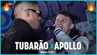 APOLLO x TUBARÃO | 2 FASE | #BDN148