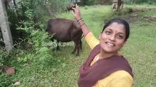 ಒಂದು ದಿನ ನಮಗೋಸ್ಕರ ನಾವು ಜೀವಿಸೋನ/natural vlog #motivationalvideo #vlogs #dayinmylife@soumyapatil14567