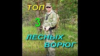 ТОП 3 ЛЕСНЫХ ВОРЮГ