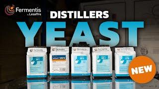 Making High-Quality Distillate with Different Yeast Strains