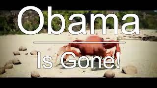 Obama Is Gone Crab Rave