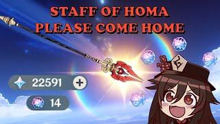 Hu Tao is getting HOMA or going HOMELESS | STAFF OF HOMA GACHA WISHES | Genshin Impact v3.4