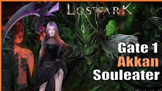 Somehow MVP with 0 Underlines! Akkan Gate 1 (Night's Edge Souleater) | Lost Ark