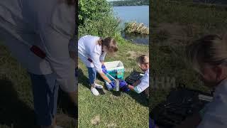 У Горішньо-Івачівському водосховищі відібрали проби, щоб дослідити якість води ‍