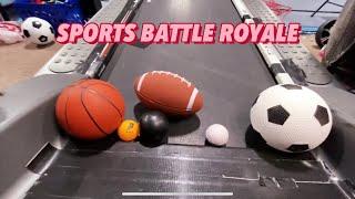 Sports Battle Royale!  Basketball Soccer Football Ping Pong Golf! Guess who wins 