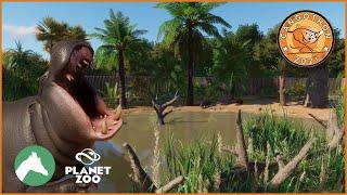 Pygmy Hippo Habitat Recreation + Giveaway | Cangothon 2021 | Cango Wildlife Ranch | Planet Zoo