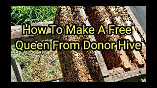 How To Make A Free Queen From Donor Hive