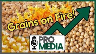 Grains on Fire!