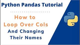How to iterate or loop over all the pandas dataframe columns names and rename them or modify them