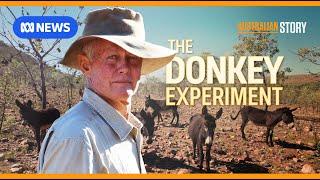 The maverick outback grazier using donkeys to regenerate his land | Australian Story