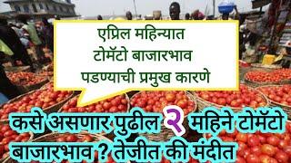 कसे असणार पुढील २ महिने टोमॅटो बाजारभाव ? तेजीत की मंदीत | tomato market rate | tomato lagwad mahiti