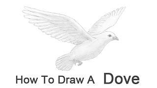 How to Draw a Dove