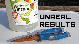 Using Vinegar to EASILY remove rust from any tool