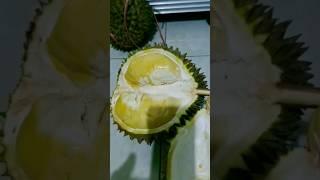 DURIAN MATAHARI#durian #durianmatahari #shorts #short