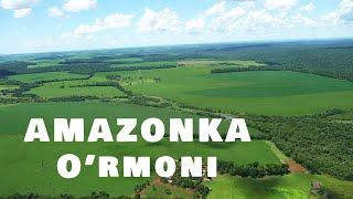 Amazonka O'rmoni / Амазонка Урмони