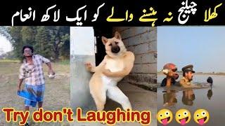 Pakistani comedy video funny | prank video funny pakistani | Instagram trending funny