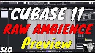 Cubase 11 Pro | VST Sounds | Raw Ambience preview