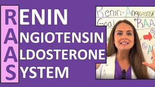 Renin Angiotensin Aldosterone System (RAAS) Nursing Mechanism for Blood Pressure