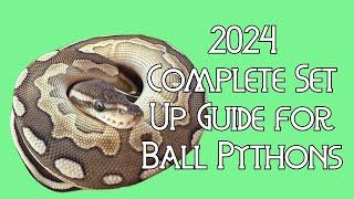 Complete Set Up Guide for Beginner Ball Python Keepers