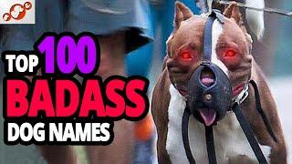 TOP 100 Badass Dog Names For Male!