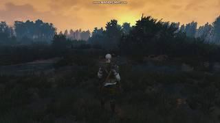 Witcher 3 Full Immersion, No Hud