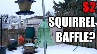 Soda bottle squirrel baffle- Cheapest and best squirrel baffle?