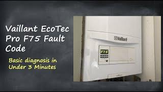 Vaillant EcoTec F75 Fault Code | Basic Diagnosis in 3 Minutes