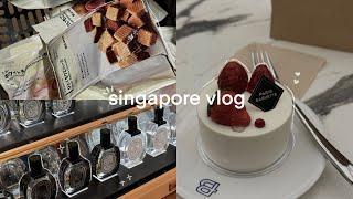 mini Singapore vlog 