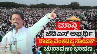 manvi jds candidate raja venkatappa nayak election speech  | raichur jds live | yoyo tv kannada