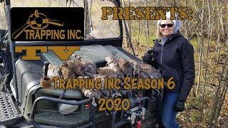 Trapping Inc TV 2020 Season 6 Episode 13 Lynx