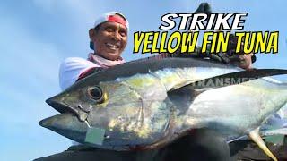 Berburu Yellow Fin Tuna & Lemadang di Laut Morotai | MANCING MANIA STRIKE BACK (17/06/23) Part 1