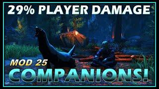 RECENT COMPANION CHANGES: Dealing 29% of Player Damage! (a lot of buffs) - Neverwinter Preview M25