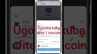 CATS KYC NUKORA IBI UZABA ELIGIBLE MURI CATS AIRDROP