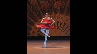 Viktoria Tereshkina - Coda, Don Quixote