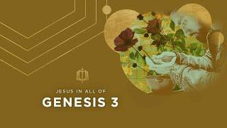 Genesis 3 | The Fall | Bible Study