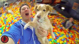 World's Biggest Ball Pit PRANK! (ft. Roman Atwood)